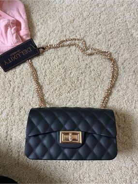 Rigid Plastic Bag with  Chain strap in Black with Gold Hardware